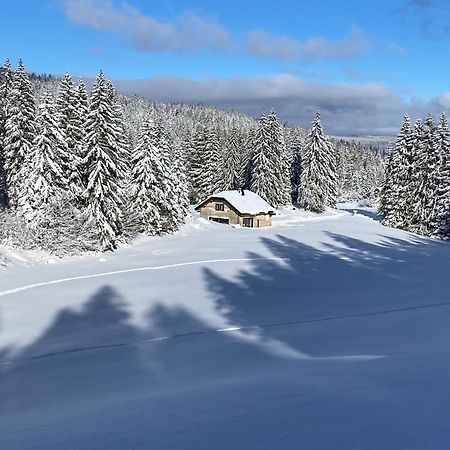 Отель La Loge De La Dolarde - Chambre Nord-Est Преманон Экстерьер фото