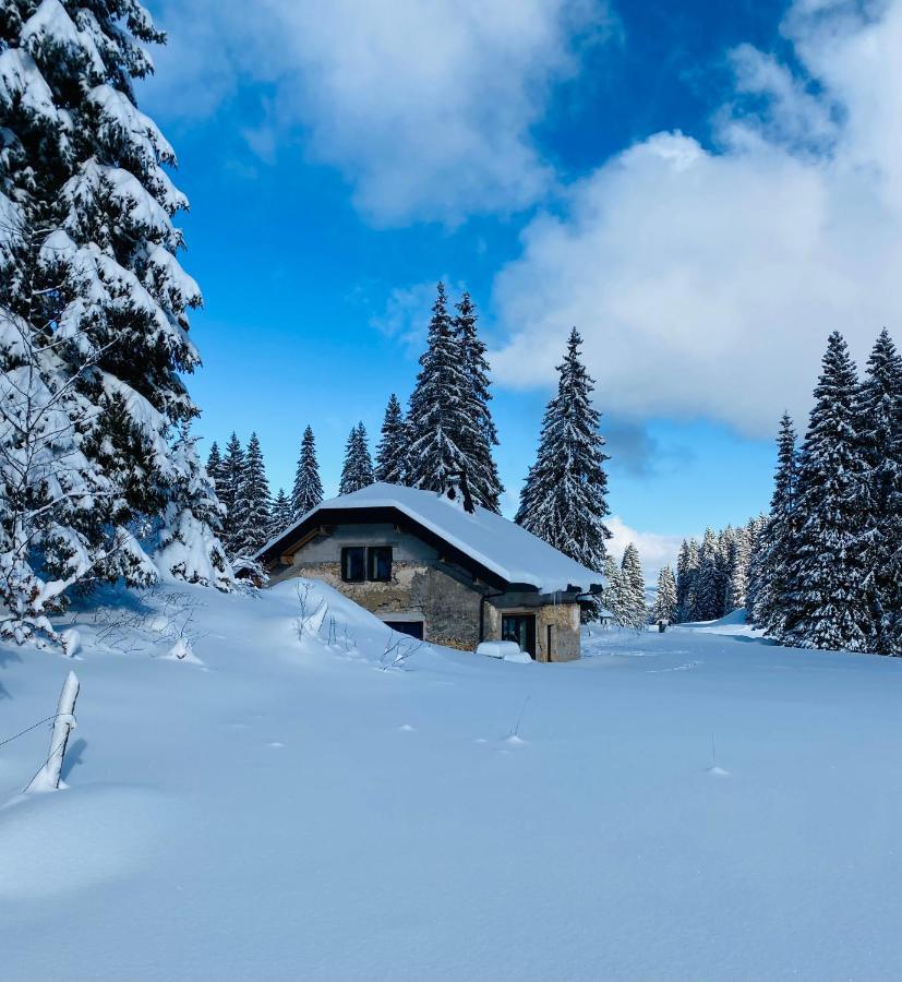 Отель La Loge De La Dolarde - Chambre Nord-Est Преманон Экстерьер фото